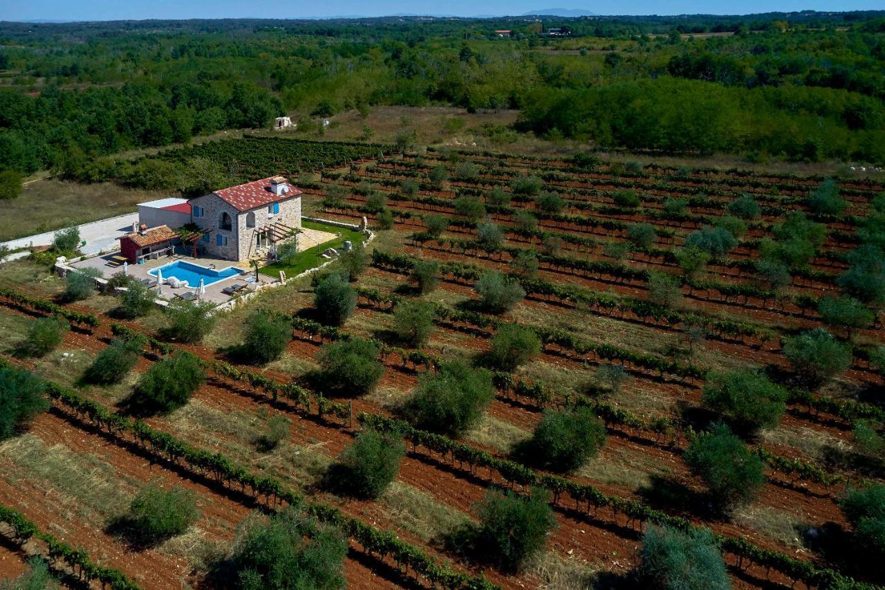 Relax House Surrounded By Olives And Vineyard Villa Stifanici Exterior photo